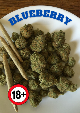 Weed Bud Blueberry und Räuchermischung kaufen