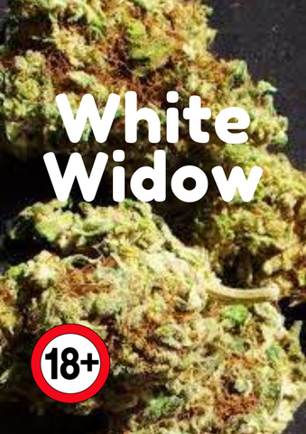 Weed Bud White Widow und Räuchermischung kaufen